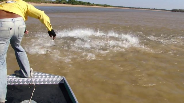 On appelle ça une pêche miraculeuse... Milliers de poissons