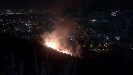 Karşıyaka'da Orman Yangını