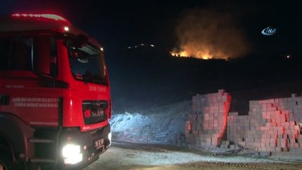 Bayraklı'da ormanlık alan alev alev yandı