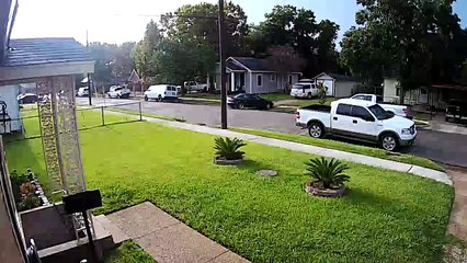 Man Leaps Into Truck Bed to Avoid Dogs