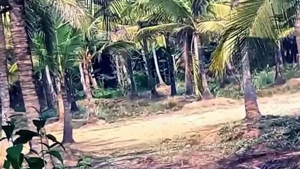 10 Paranormal Activity Caught On Camera | Scary Videos