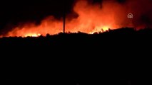 Didim'de Makilik Alanda Yangın Çıktı