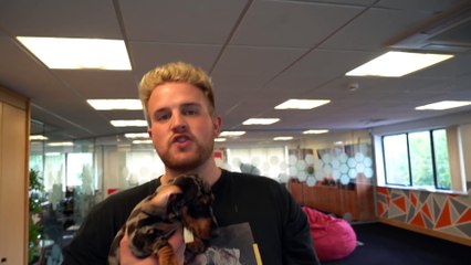 SAVING MY £7000 WILD CAT