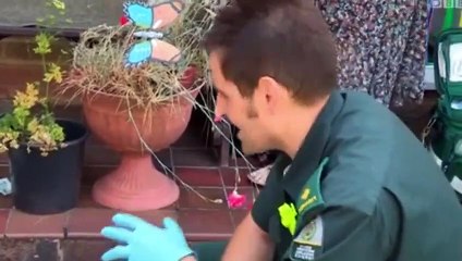 Real Rescues S10  E17 Series 10, E 17 - Part 01