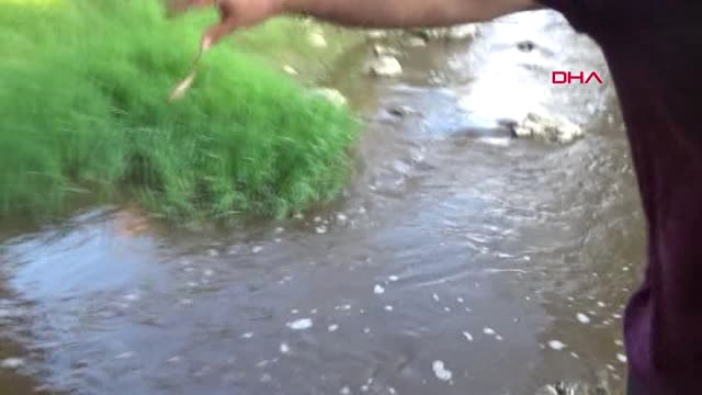 Bursa Adnan Menderes Sivas'ta Anıldı