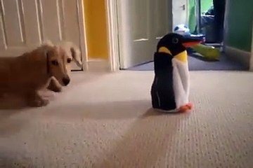 아시아카지노♥ https://yes848.com ♥예스카지노茶코리아카지노垈네임드카지노사이트