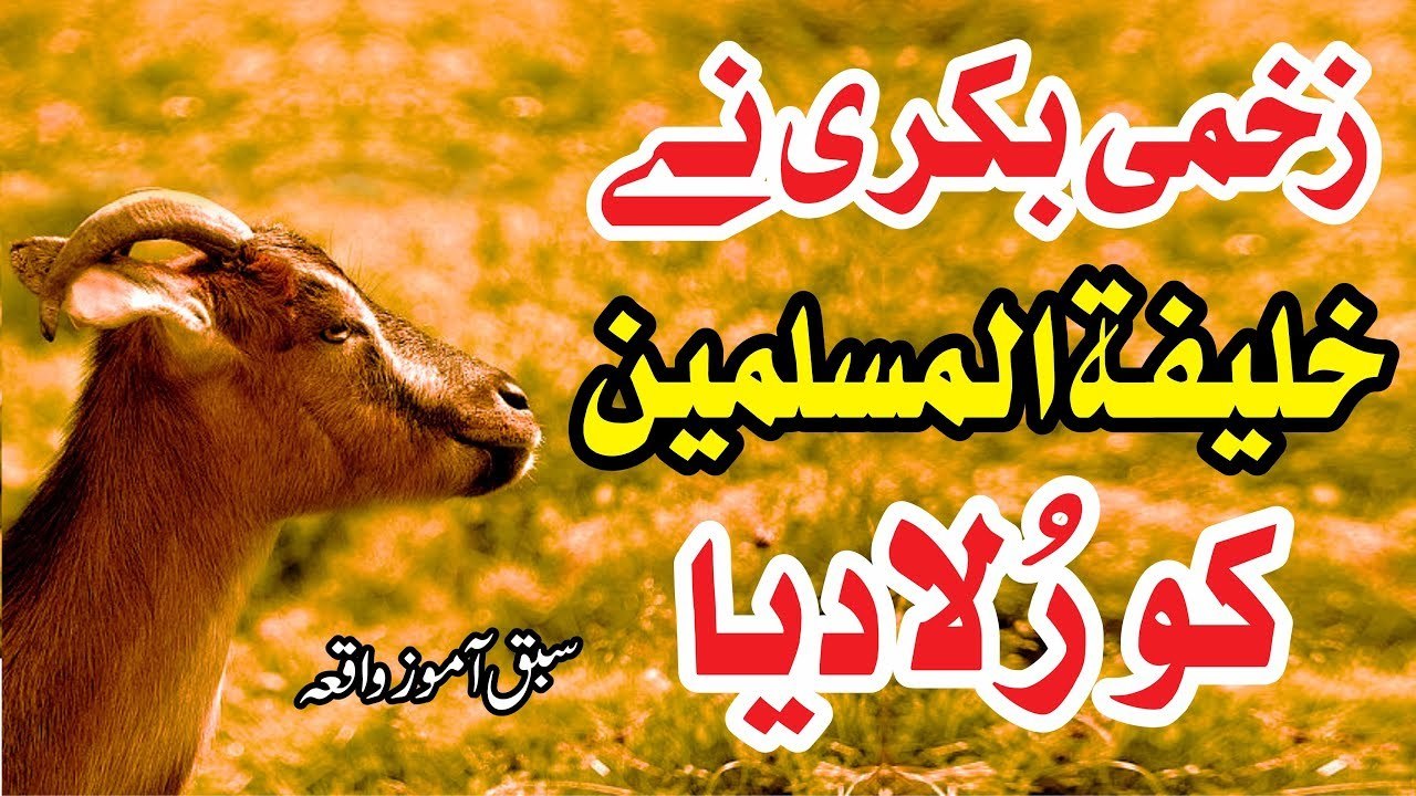 Muhammad Raza Saqib Mustafai - Zakhmi Bakri Ne KHALIFA-TUL-MUSLIMEEN Ko Rula Diya