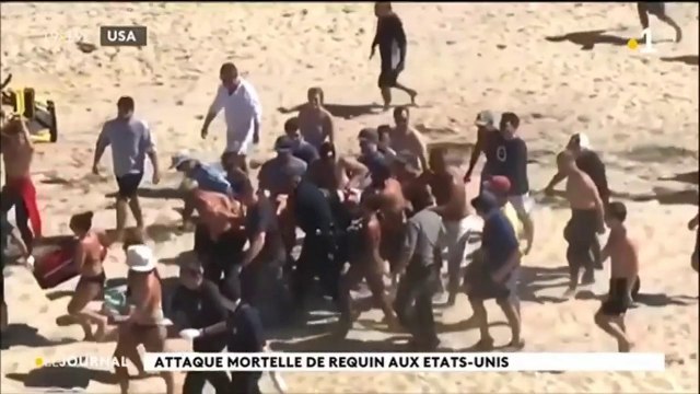 Attaque mortelle de requin aux états-unis