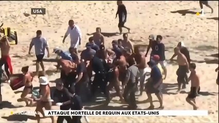 Attaque mortelle de requin aux états-unis
