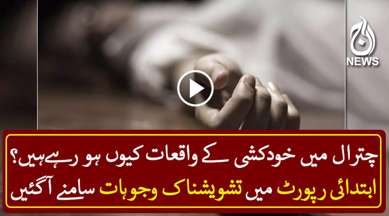 Initial report on suicide incidents