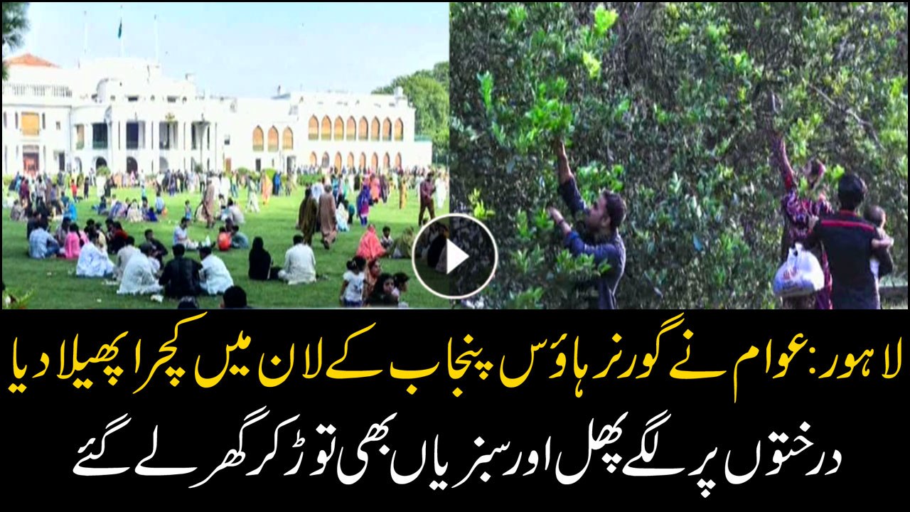 Citizens of Lahore left piles of garbage on the...