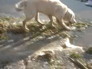 Non pas assis dans l'eau