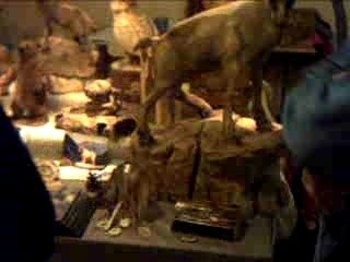 marchè de noel sur aix les bains