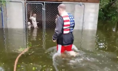 Florence kasırgasının kahramanı köpekleri böyle kurtardı
