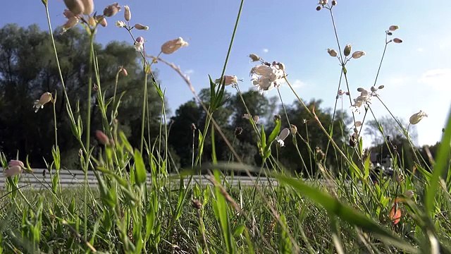 BMW R1200GS, la première moto sans pilote