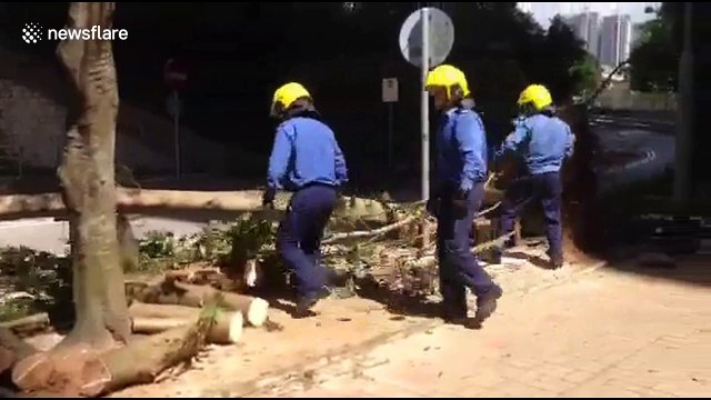 Workers remove felled trees from road following Typhoon Mangkhut in Hong Kong