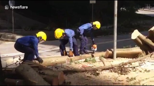 Recovery underway as workers clear felled trees from road following Typhoon Mangkhut