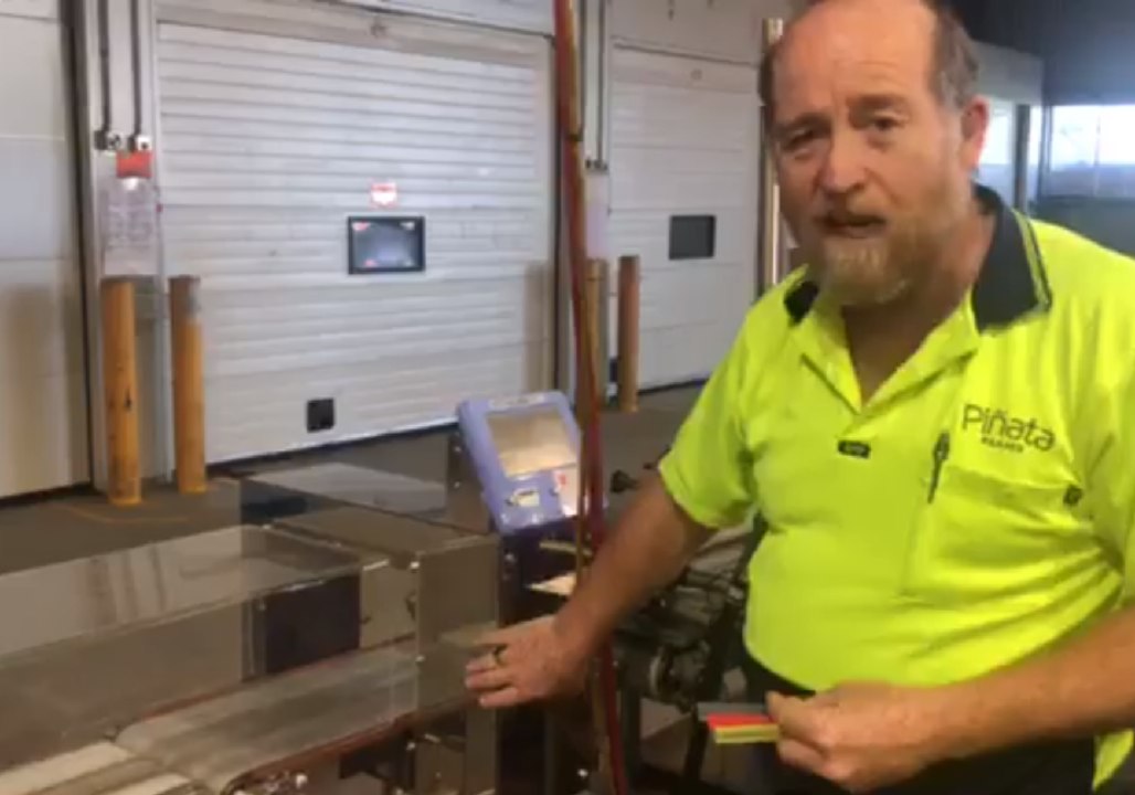 Queensland Strawberry Grower Uses Metal Detector to Scan for Needles