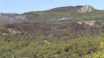 Kumluca'daki Orman Yangınında 70 Hektar Alan Zarar Gördü (2)