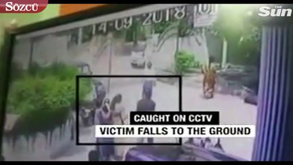 Palalı töre cinayeti