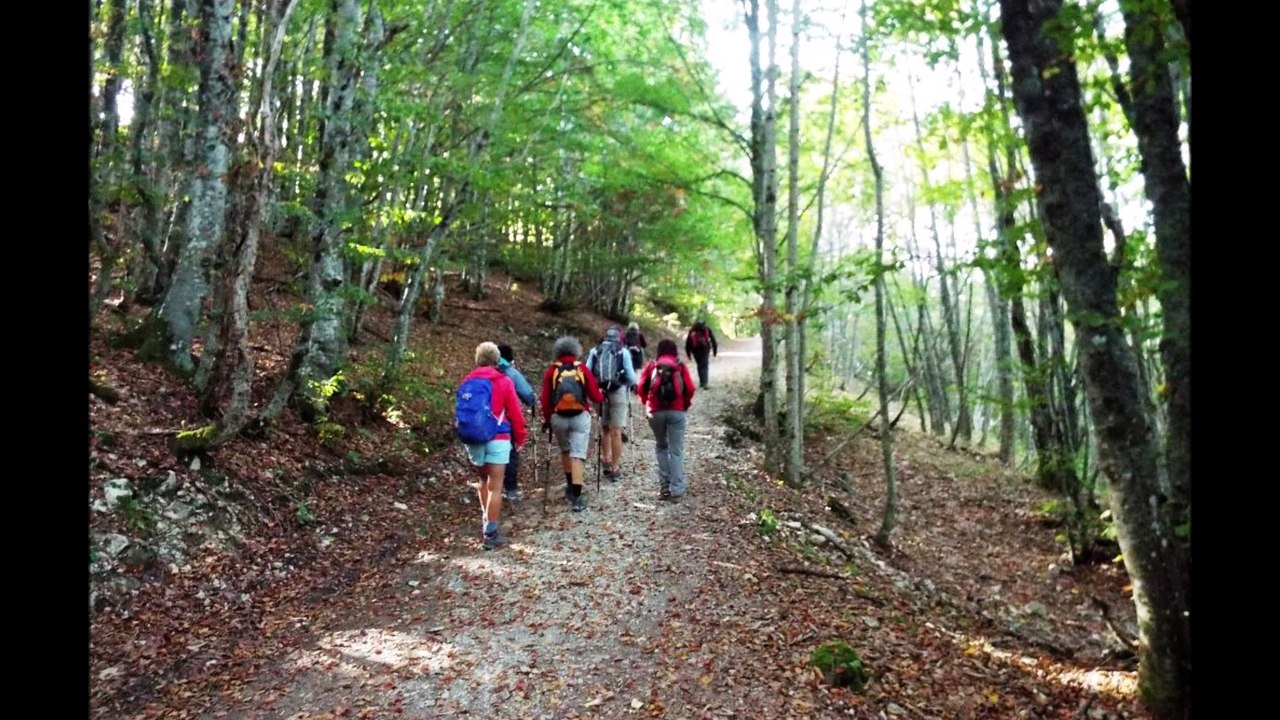 Le Plateau d'Ambel