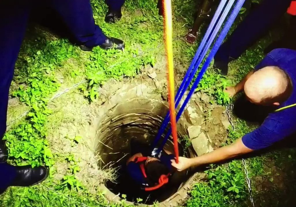 Texas Firefighters Rescue Dog Trapped in 30-Foot Well