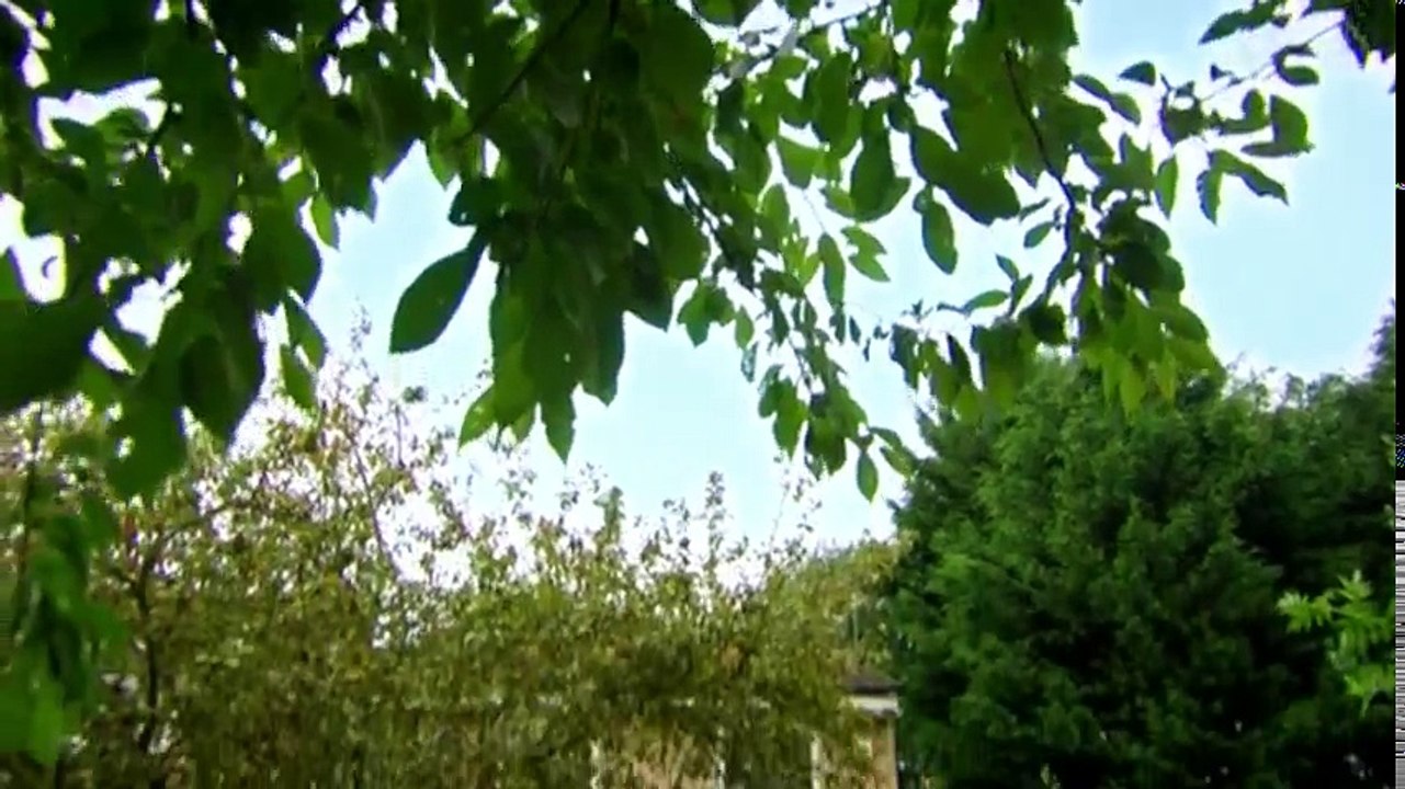 Obsessive Compulsive Cleaners S03 - Ep01 Claire & Charlie and Andy & Ian HD Watch