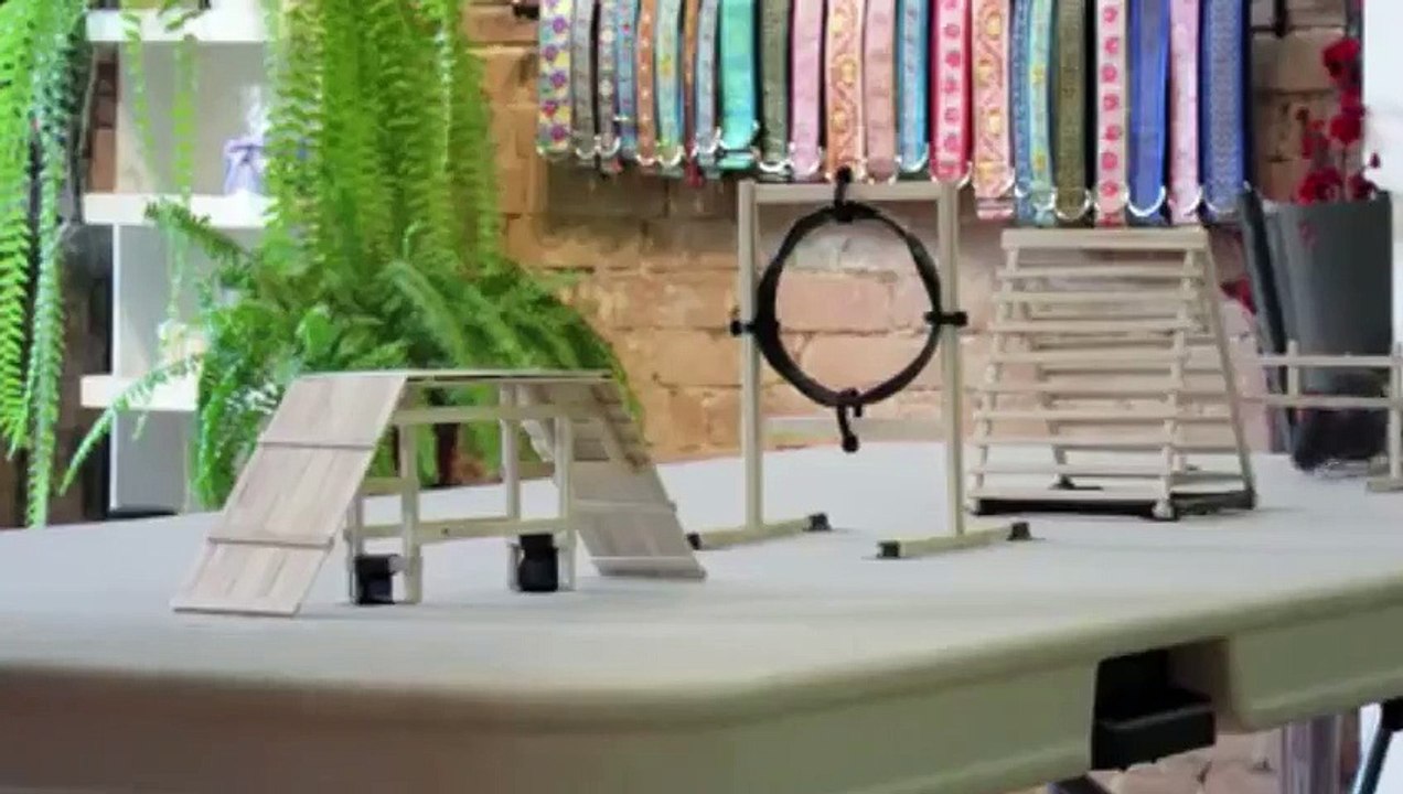 Teach My Pet to Do That S01  E04 E 4