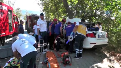 Otomobil ağaca çarptı: 1 ölü, 2 yaralı