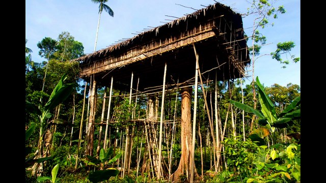 Le bois dans tous ses états : Introduction - 1 Le bois un matériau ancien