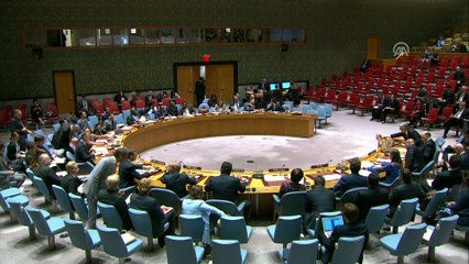 'Afganistan barış görüşmeleri için en iyi konumda' - NEW YORK