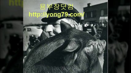 스포츠토토배트맨  ★yong79.com 카지노사이트 yong79.com★ 토토총판