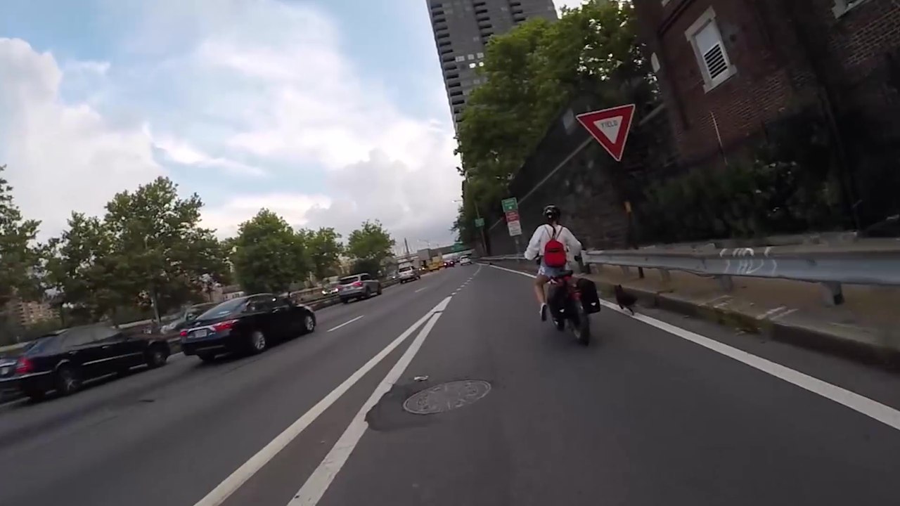 Deux cyclistes partent à la poursuite d'un chien qui court dans les rues de New York