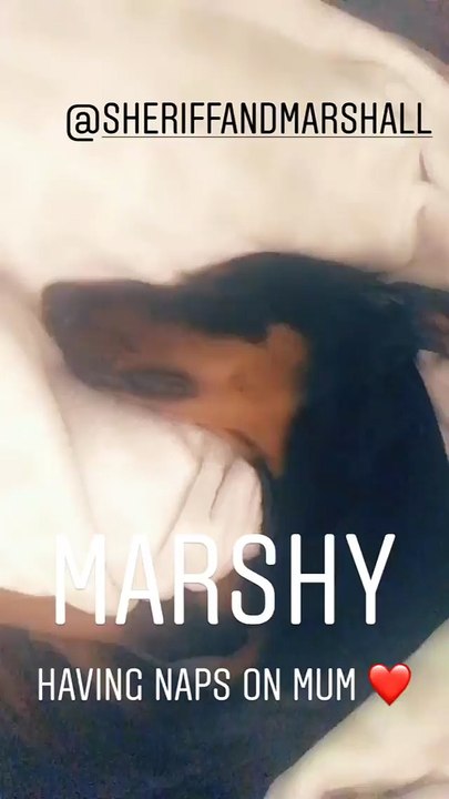 Peyton Royce - Peyton's Instagram Stories August 25th 2018