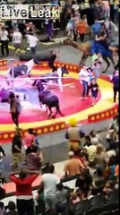 Ce chameau devient fou dans un cirque à Pittsburg et s'emballe