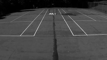 Fred Fletcher Park - Tennis Courts - Raleigh, NC