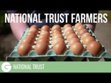 Could you pick out a chicken from a line up of 1000? | National Trust