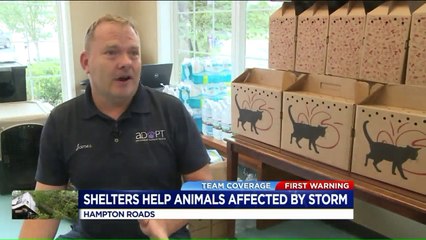 Video herunterladen: Virginia Animal Shelter Takes in Pets Affected by Florence