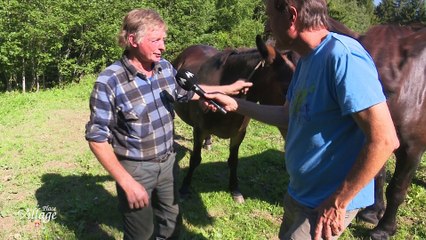La Place du Village [S.2][E.6] - Traditions agricoles au Pays du Mont-Blanc