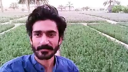 Jamál Balóch | Molk