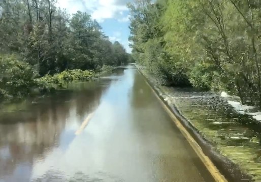 Texas Animal Sanctuary Heads to Wilmington to Help Florence Rescue Efforts
