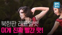 [엠빅비디오] 환영 예술공연에 등장한 북한판 레드벨벳