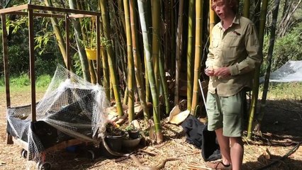 Eastern Brown Snaked Rescued from Net