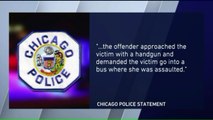 Woman Sexually Assaulted on Charter Bus in Chicago, Police Say