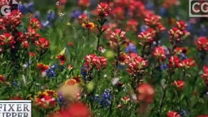 Fixer Upper S04E07 Son Surprises Family