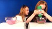 MYSTERY BOX SLIME SWITCH UP CHALLENGE | SIS v’s SIS | Ruby & Raylee