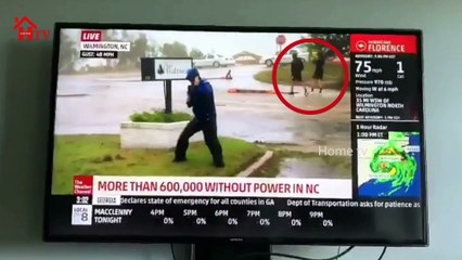 Weatherman OSCAR Winning Performance | Hurricane Florence News | HOME TV