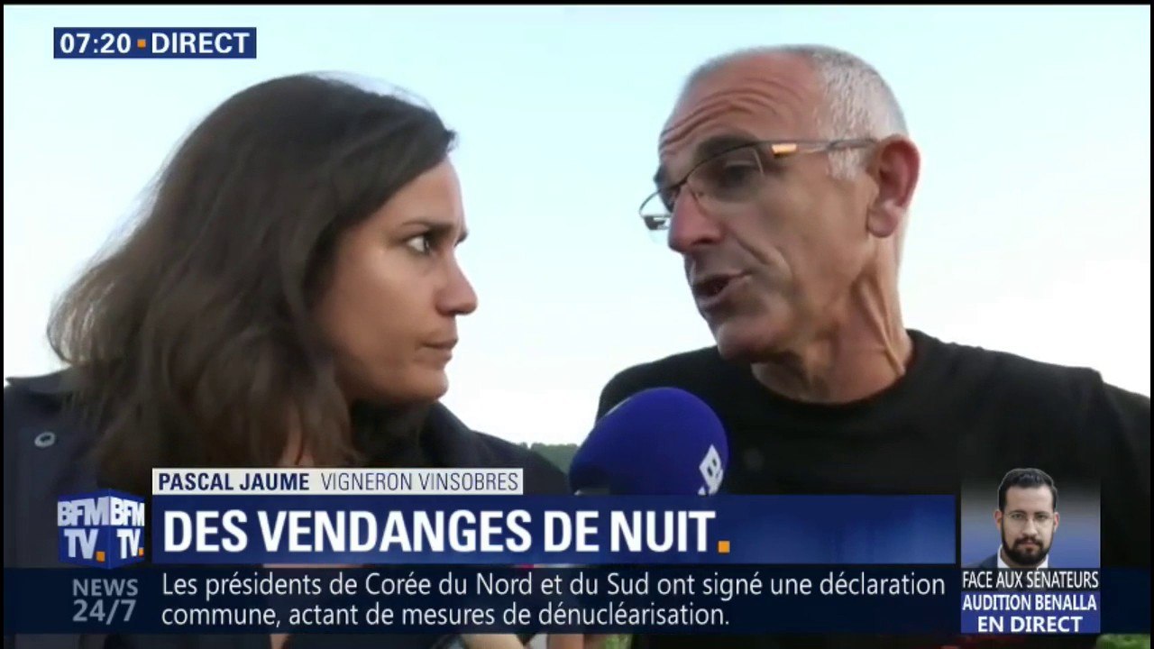 A cause de la chaleur, les vendanges ont lieu de nuit