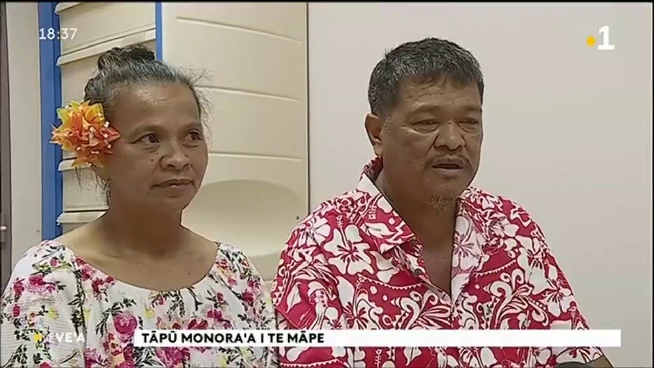 TH : Greffes du rein : pénurie de donneurs