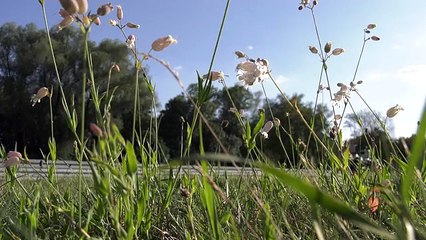 BMW vous propose une moto capable de se conduire toute seule